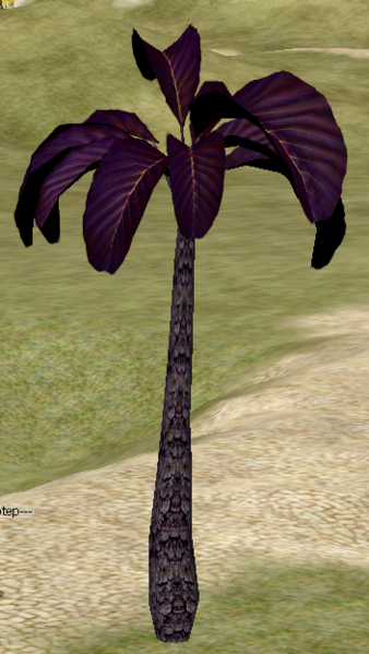 File:AshPalm.png
