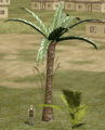 RazorPalm.png