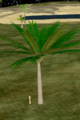 Royal Palm.png