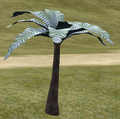 DeltaPalm.png