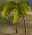 DatePalm.png