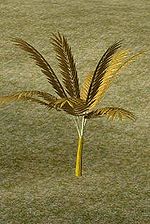 Mini Palm