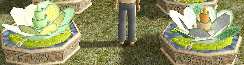 File:RP06LmoRdu.jpg